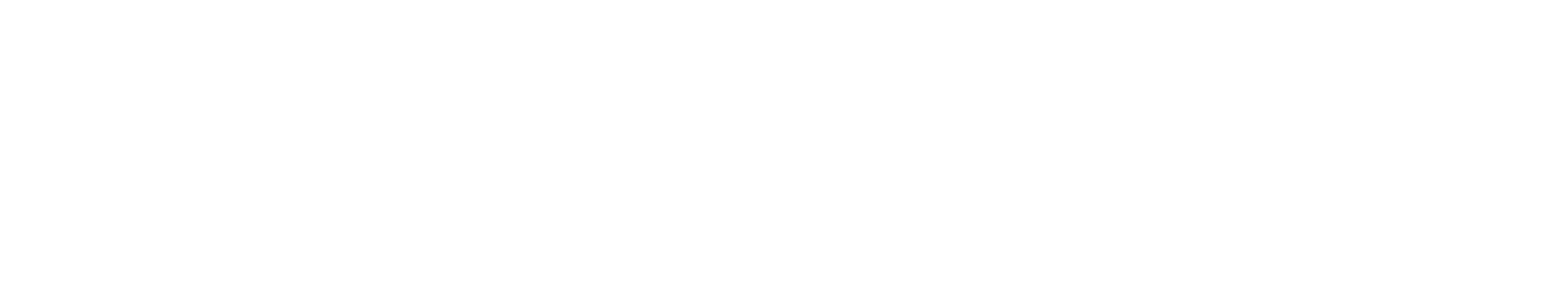 NEWTON University Group
